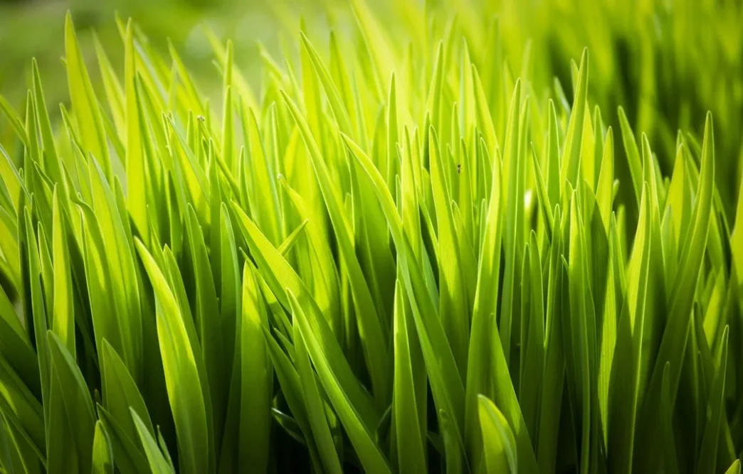 Photo green transition economy