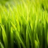 Photo green transition economy