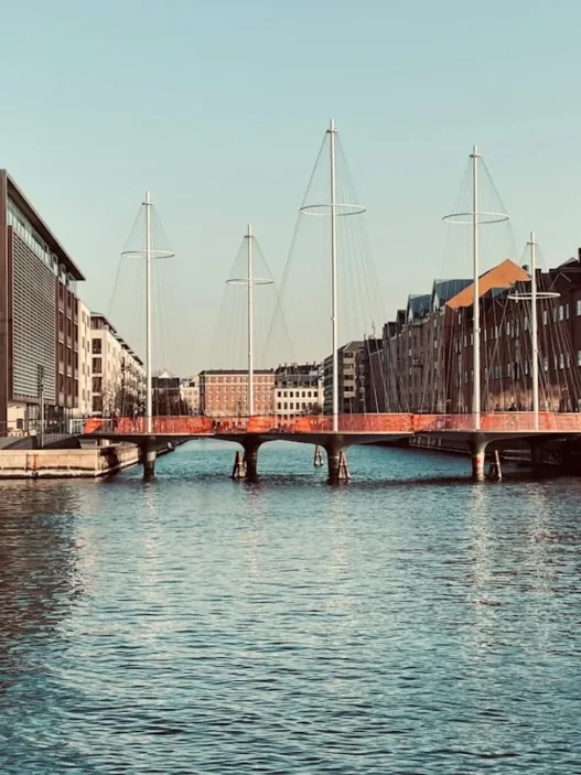 Photo wage development Denmark