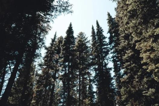 Photo difference