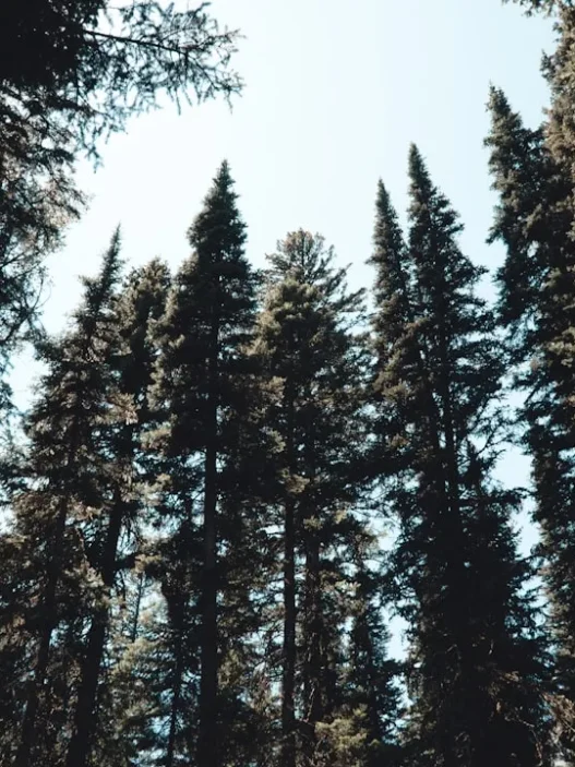 Photo difference